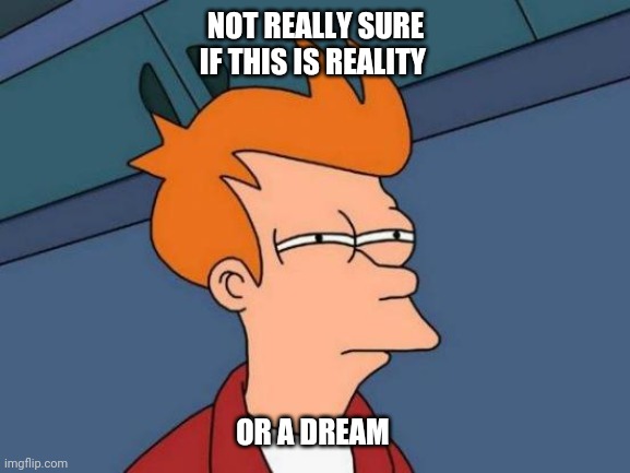 Futurama Fry Meme | NOT REALLY SURE IF THIS IS REALITY; OR A DREAM | image tagged in memes,futurama fry | made w/ Imgflip meme maker