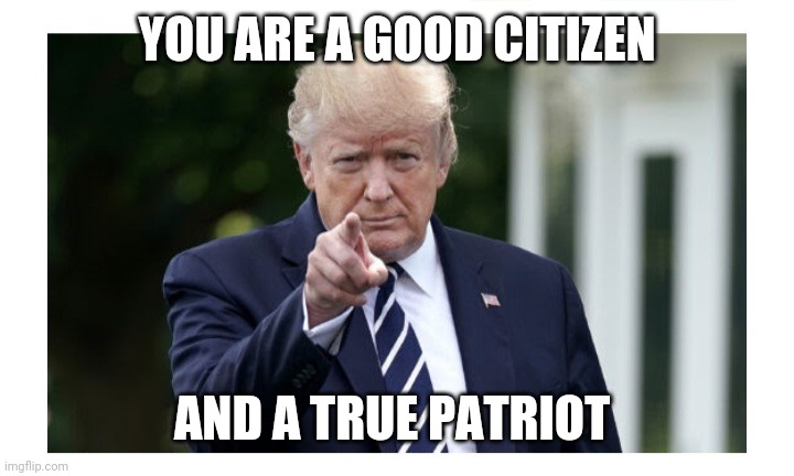 YOU ARE A GOOD CITIZEN AND A TRUE PATRIOT | made w/ Imgflip meme maker