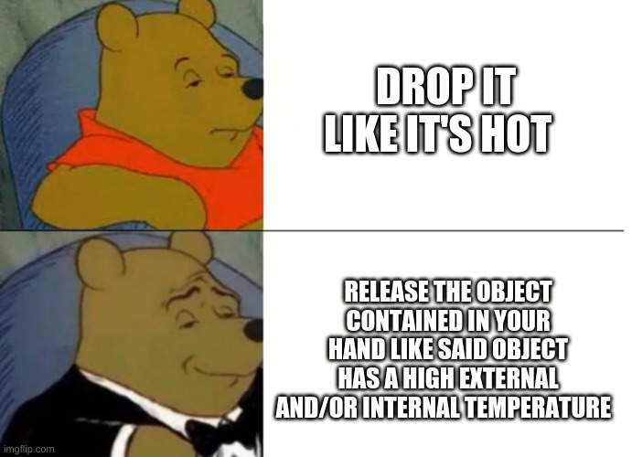 Fancy Winnie The Pooh Meme | DROP IT LIKE IT'S HOT; RELEASE THE OBJECT CONTAINED IN YOUR HAND LIKE SAID OBJECT HAS A HIGH EXTERNAL AND/OR INTERNAL TEMPERATURE | image tagged in fancy winnie the pooh meme | made w/ Imgflip meme maker