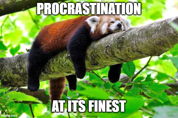 I don't know if somebody already made it. | PROCRASTINATION; AT ITS FINEST | image tagged in procrastination,just for fun | made w/ Imgflip meme maker