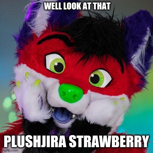 WELL LOOK AT THAT PLUSHJIRA STRAWBERRY | made w/ Imgflip meme maker