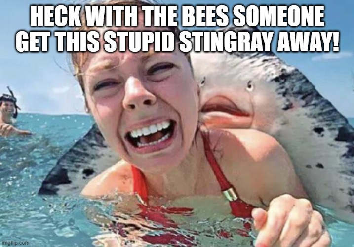 Stingray Attack | HECK WITH THE BEES SOMEONE GET THIS STUPID STINGRAY AWAY! | image tagged in stingray attack | made w/ Imgflip meme maker