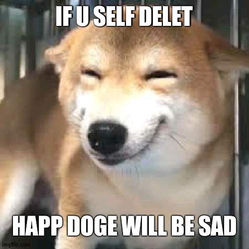 and u wont get to look at happ doge anymore | IF U SELF DELET; HAPP DOGE WILL BE SAD | image tagged in happy doge template | made w/ Imgflip meme maker