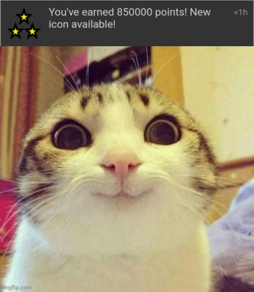 Yay | image tagged in memes,smiling cat | made w/ Imgflip meme maker