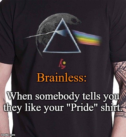 You gotta be kidding me! | Brainless:; When somebody tells you they like your "Pride" shirt. | image tagged in gay pride,pink floyd,dark side,moon,funny memes | made w/ Imgflip meme maker