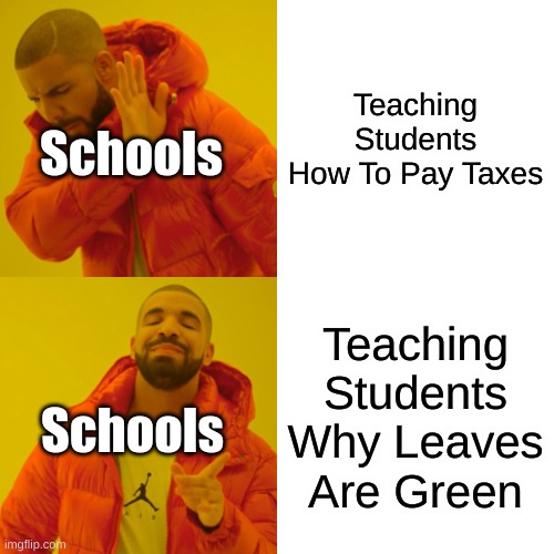Drake Hotline Bling | Teaching Students How To Pay Taxes; Schools; Teaching Students Why Leaves Are Green; Schools | image tagged in memes,drake hotline bling | made w/ Imgflip meme maker