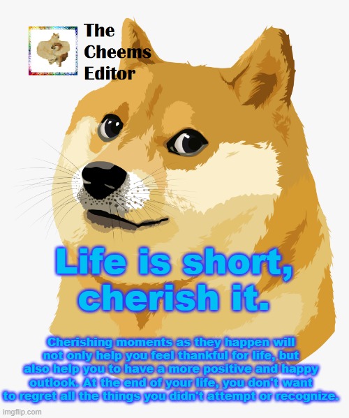 Life is short, cherish it. Cherishing moments as they happen will not only help you feel thankful for life, but also help you to have a more positive and happy outlook. At the end of your life, you don't want to regret all the things you didn't attempt or recognize. | image tagged in thecheemseditor announcement template | made w/ Imgflip meme maker