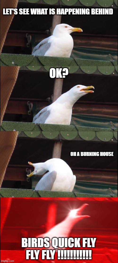 Inhaling Seagull |  LET'S SEE WHAT IS HAPPENING BEHIND; OK? OH A BURNING HOUSE; BIRDS QUICK FLY FLY FLY !!!!!!!!!!! | image tagged in memes,inhaling seagull | made w/ Imgflip meme maker