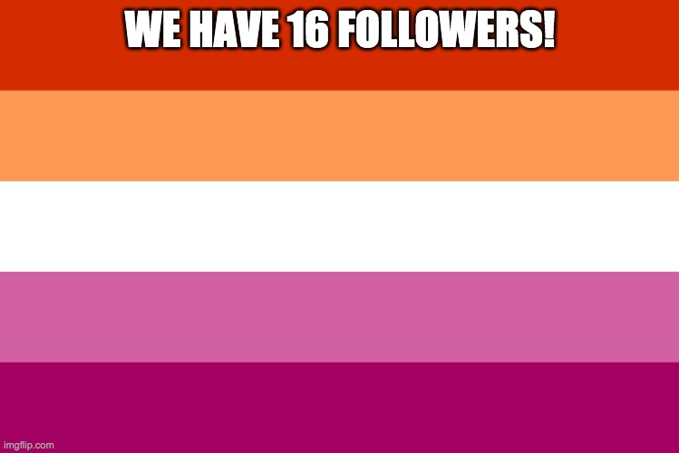 Lesbian flag | WE HAVE 16 FOLLOWERS! | image tagged in lesbian flag | made w/ Imgflip meme maker
