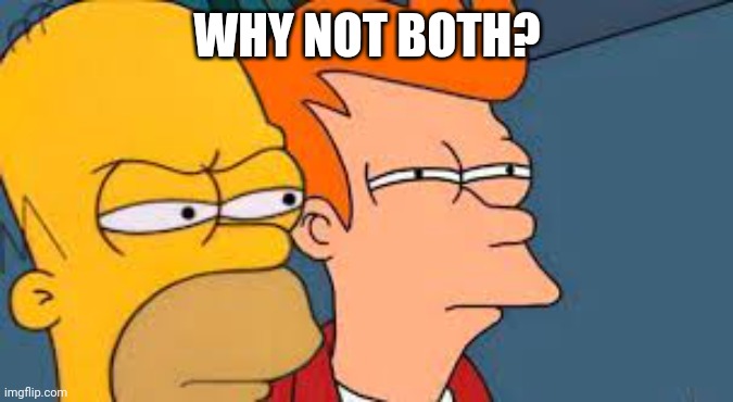 Homer and Fry suspicious |  WHY NOT BOTH? | image tagged in homer and fry suspicious | made w/ Imgflip meme maker