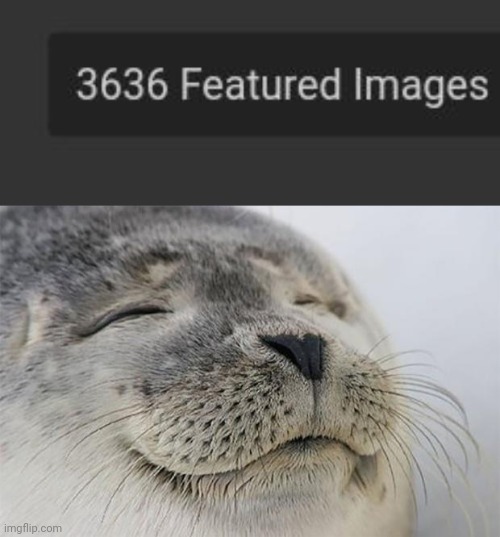 image tagged in memes,satisfied seal | made w/ Imgflip meme maker