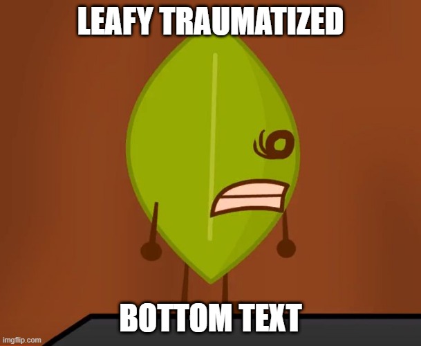 BFDI "Wat" Face |  LEAFY TRAUMATIZED; BOTTOM TEXT | image tagged in bfdi wat face | made w/ Imgflip meme maker