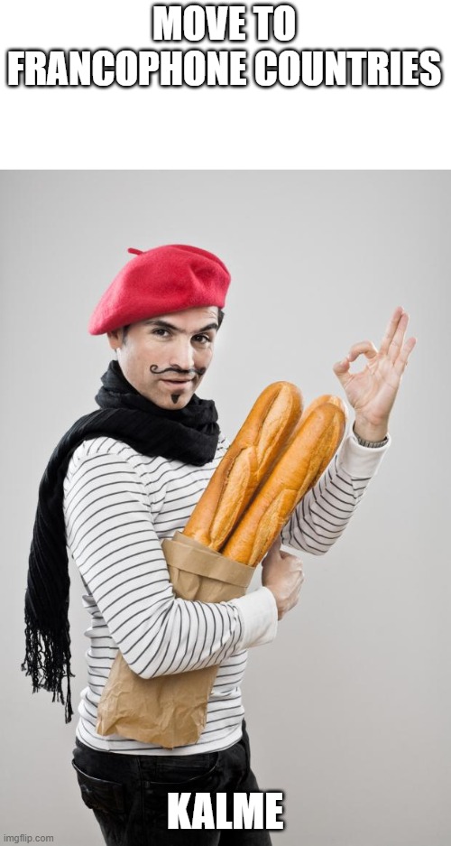 French Artist Stereotype | MOVE TO FRANCOPHONE COUNTRIES KALME | image tagged in french artist stereotype | made w/ Imgflip meme maker