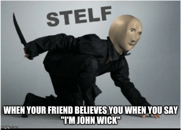 very stelf | WHEN YOUR FRIEND BELIEVES YOU WHEN YOU SAY
"I'M JOHN WICK" | image tagged in stelf,memes | made w/ Imgflip meme maker