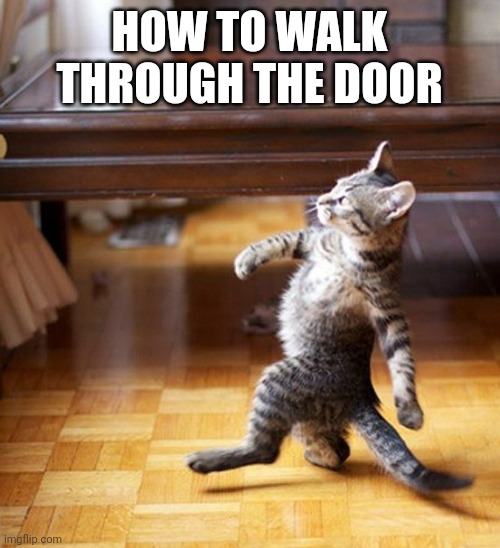 HOW TO WALK THROUGH THE DOOR | image tagged in cat walking like a boss | made w/ Imgflip meme maker