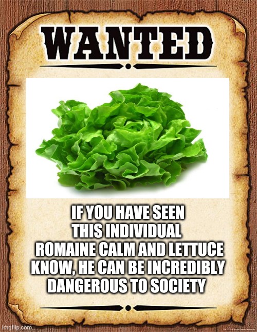wanted poster | IF YOU HAVE SEEN THIS INDIVIDUAL 
 ROMAINE CALM AND LETTUCE KNOW, HE CAN BE INCREDIBLY DANGEROUS TO SOCIETY | image tagged in wanted poster | made w/ Imgflip meme maker