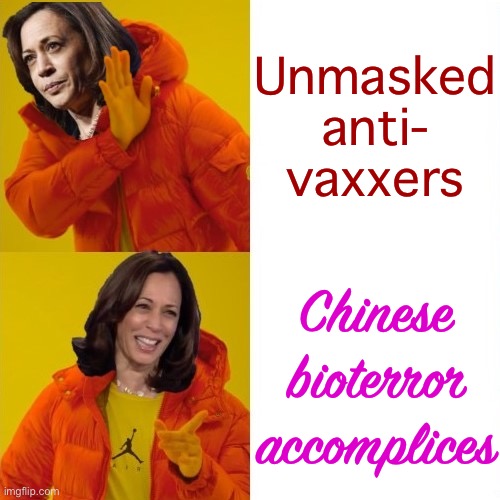 If the Wuhan lab conspiracy is real? Okay, let’s just game this out here for a bit | Unmasked anti- vaxxers; Chinese bioterror accomplices | image tagged in kamala harris hotline bling,conspiracy theory,covid-19,coronavirus,hotline bling,conservative logic | made w/ Imgflip meme maker