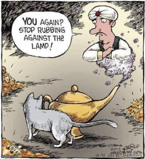 MAYBE THE KITTY WANTS A WISH | image tagged in cats,comics/cartoons | made w/ Imgflip meme maker