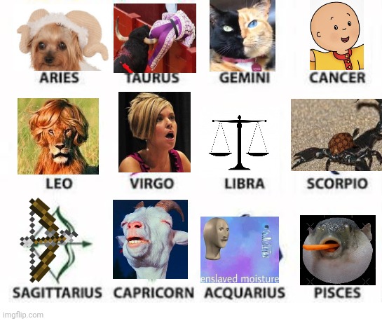 Zodiac Signs | image tagged in zodiac signs | made w/ Imgflip meme maker