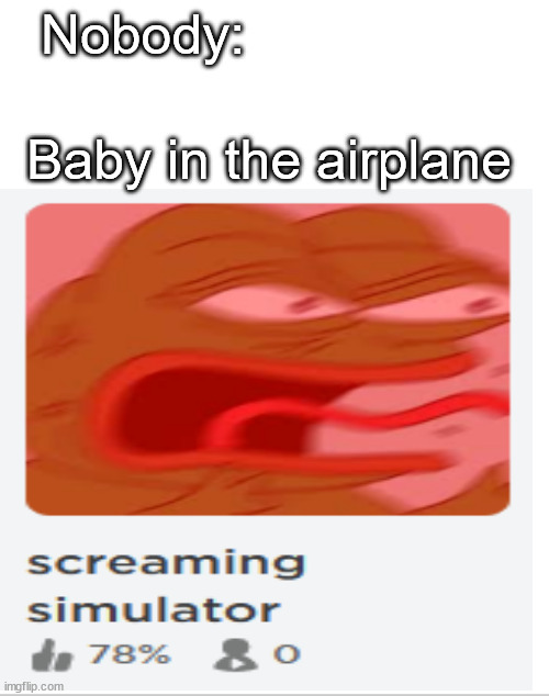 Nobody:; Baby in the airplane | image tagged in memes,roblox | made w/ Imgflip meme maker
