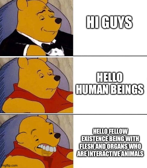 Tuxedo on Top Winnie The Pooh (3 panel) | HI GUYS; HELLO HUMAN BEINGS; HELLO FELLOW EXISTENCE BEING WITH FLESH AND ORGANS WHO ARE INTERACTIVE ANIMALS | image tagged in tuxedo on top winnie the pooh 3 panel | made w/ Imgflip meme maker