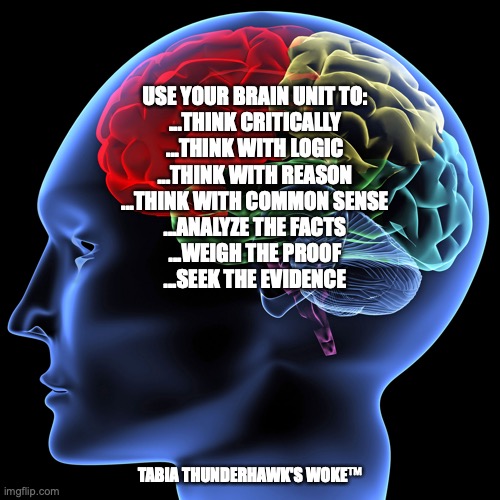 brain | USE YOUR BRAIN UNIT TO:

...THINK CRITICALLY
...THINK WITH LOGIC
...THINK WITH REASON
...THINK WITH COMMON SENSE
...ANALYZE THE FACTS
...WEIGH THE PROOF
...SEEK THE EVIDENCE; TABIA THUNDERHAWK'S WOKE™ | image tagged in change my mind | made w/ Imgflip meme maker