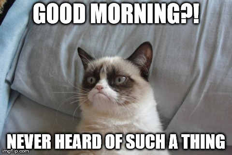 Grumpy Cat Bed | image tagged in memes,grumpy cat | made w/ Imgflip meme maker