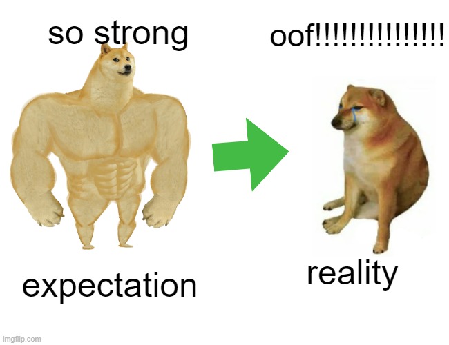 buffy fox | so strong; oof!!!!!!!!!!!!!!! reality; expectation | image tagged in memes,buff doge vs cheems | made w/ Imgflip meme maker