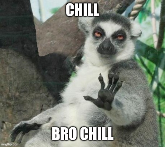 Stoner Lemur Meme | CHILL BRO CHILL | image tagged in memes,stoner lemur | made w/ Imgflip meme maker