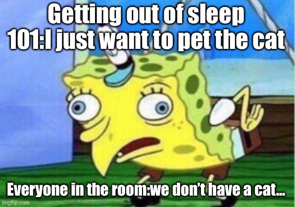 Mocking Spongebob Meme | Getting out of sleep 101:I just want to pet the cat; Everyone in the room:we don’t have a cat... | image tagged in memes,mocking spongebob | made w/ Imgflip meme maker