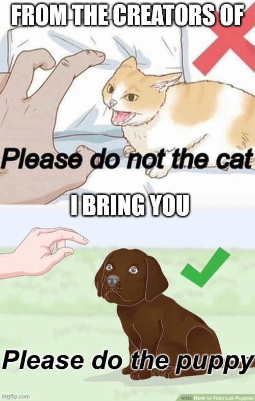 FROM THE CREATORS OF; I BRING YOU | image tagged in please do not the cat,please do the puppy | made w/ Imgflip meme maker
