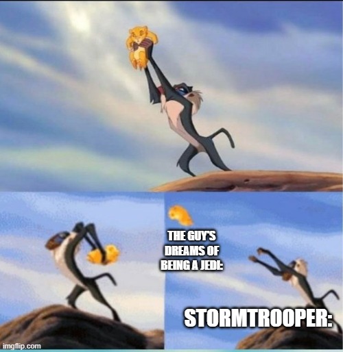 lion being yeeted | STORMTROOPER: THE GUY'S DREAMS OF BEING A JEDI: | image tagged in lion being yeeted | made w/ Imgflip meme maker