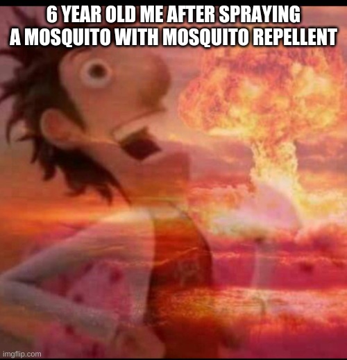 MushroomCloudy | 6 YEAR OLD ME AFTER SPRAYING A MOSQUITO WITH MOSQUITO REPELLENT | image tagged in mushroomcloudy | made w/ Imgflip meme maker