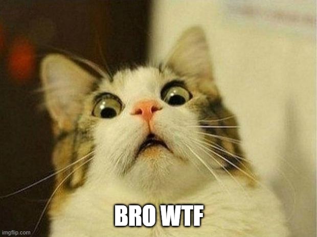 Scared Cat Meme | BRO WTF | image tagged in memes,scared cat | made w/ Imgflip meme maker