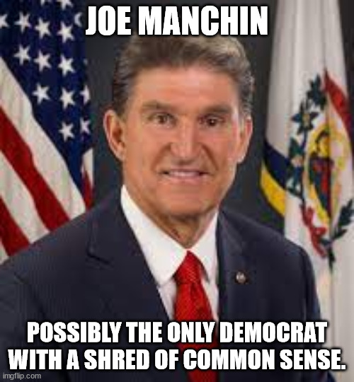 Senator Joe Manchin | JOE MANCHIN; POSSIBLY THE ONLY DEMOCRAT WITH A SHRED OF COMMON SENSE. | image tagged in senators | made w/ Imgflip meme maker