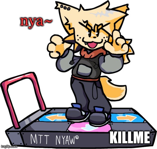 i'm on the verge of killing everyone in a half-mile radius so i decided to post this | nya~; KILLME | image tagged in theonlyrandomdoggo nyaw | made w/ Imgflip meme maker