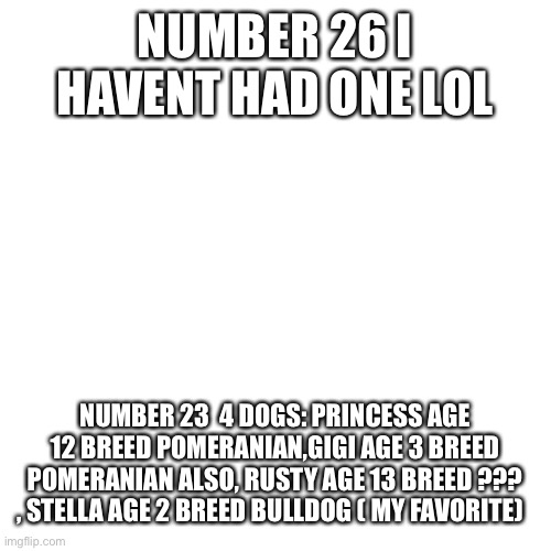 Blank Transparent Square Meme | NUMBER 26 I HAVENT HAD ONE LOL; NUMBER 23  4 DOGS: PRINCESS AGE 12 BREED POMERANIAN,GIGI AGE 3 BREED POMERANIAN ALSO, RUSTY AGE 13 BREED ???
, STELLA AGE 2 BREED BULLDOG ( MY FAVORITE) | image tagged in memes,blank transparent square | made w/ Imgflip meme maker