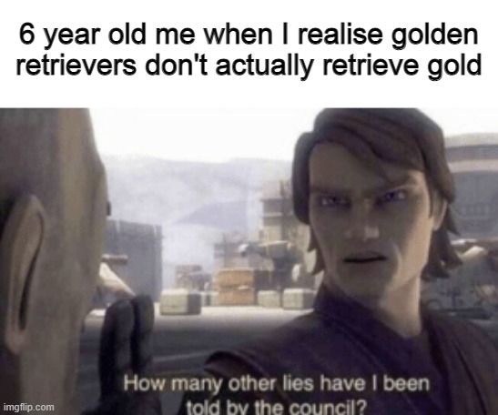 How many other lies have i been told by the council | 6 year old me when I realise golden retrievers don't actually retrieve gold | image tagged in how many other lies have i been told by the council | made w/ Imgflip meme maker