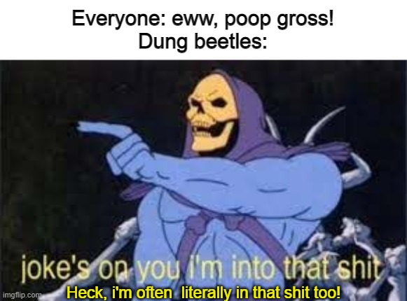Jokes on you im into that shit | Everyone: eww, poop gross!
Dung beetles:; Heck, i'm often  literally in that shit too! | image tagged in jokes on you im into that shit,memes,animals,insects,beetle,poop | made w/ Imgflip meme maker