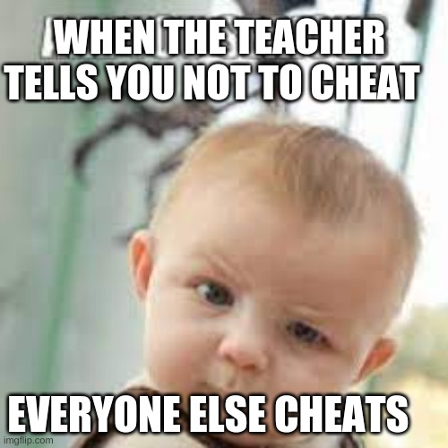 WHEN THE TEACHER TELLS YOU NOT TO CHEAT; EVERYONE ELSE CHEATS | image tagged in too damn high | made w/ Imgflip meme maker