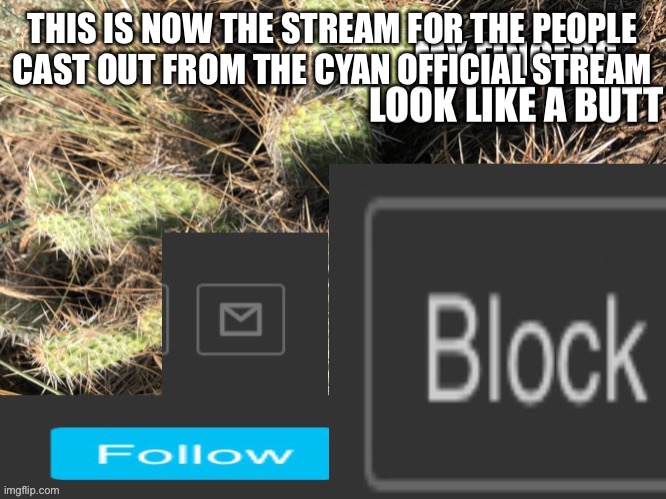 New Cactus Official Template | THIS IS NOW THE STREAM FOR THE PEOPLE CAST OUT FROM THE CYAN OFFICIAL STREAM | image tagged in new cactus official template | made w/ Imgflip meme maker