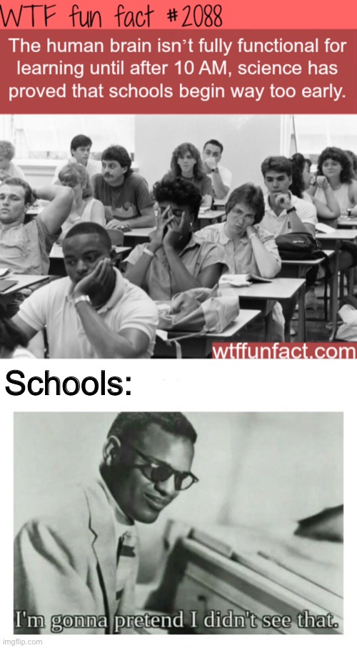It’s true I tell you | Schools: | image tagged in i'm gonna pretend i didn't see that | made w/ Imgflip meme maker