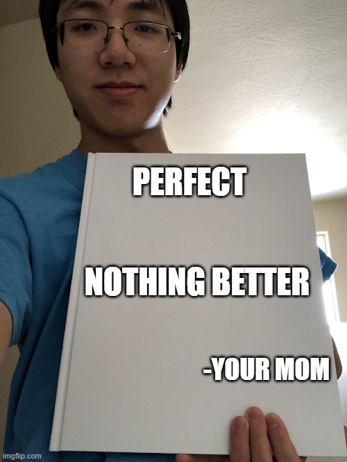 Plainrock 124 Bill signing meme | PERFECT NOTHING BETTER -YOUR MOM | image tagged in plainrock 124 bill signing meme | made w/ Imgflip meme maker
