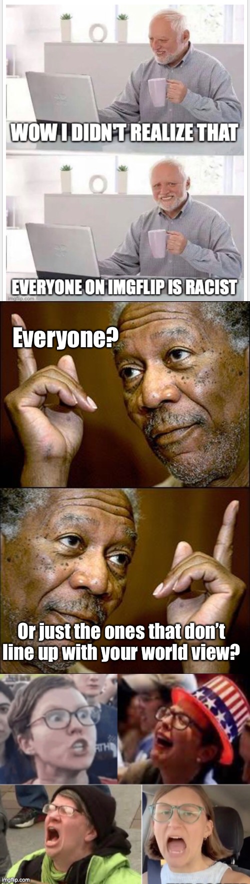 Bunch of meanies | Everyone? Or just the ones that don’t line up with your world view? | image tagged in this morgan freeman,funny memes,politics lol | made w/ Imgflip meme maker