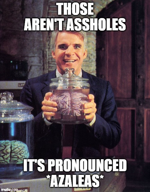  THOSE AREN'T ASSHOLES; IT'S PRONOUNCED *AZALEAS* | image tagged in steve martin - man with two brains | made w/ Imgflip meme maker