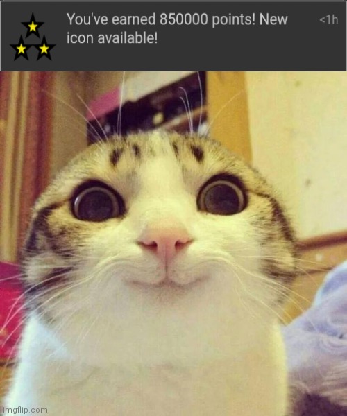 Smiling Cat Meme - Imgflip