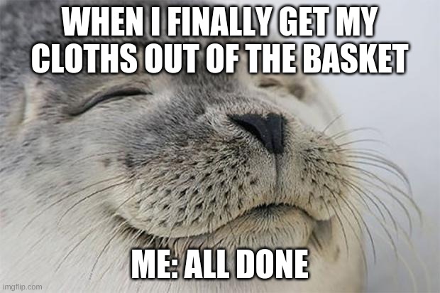 Satisfied Seal Meme | WHEN I FINALLY GET MY CLOTHS OUT OF THE BASKET; ME: ALL DONE | image tagged in memes,satisfied seal | made w/ Imgflip meme maker