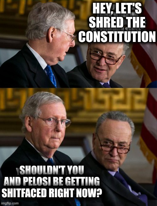 HEY, LET'S SHRED THE CONSTITUTION SHOULDN'T YOU AND PELOSI BE GETTING SHITFACED RIGHT NOW? | made w/ Imgflip meme maker