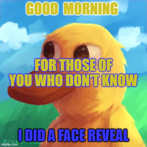 i got 50 followers | GOOD  MORNING; FOR THOSE OF YOU WHO DON'T KNOW; I DID A FACE REVEAL | image tagged in gotanygrapes announcement template | made w/ Imgflip meme maker