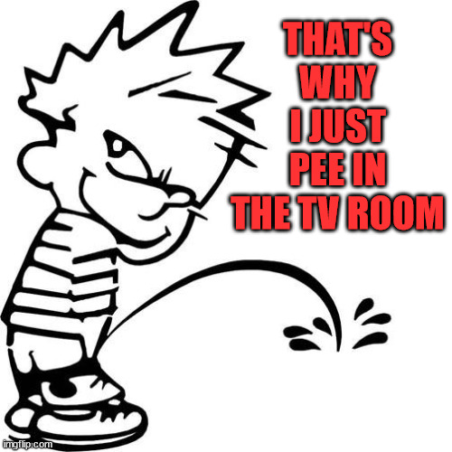 Calvin Peeing | THAT'S WHY I JUST PEE IN THE TV ROOM | image tagged in calvin peeing | made w/ Imgflip meme maker